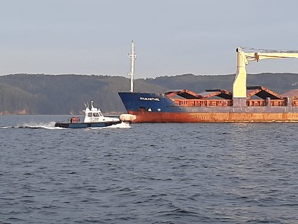 Bulk carrier with pilot boat approaching